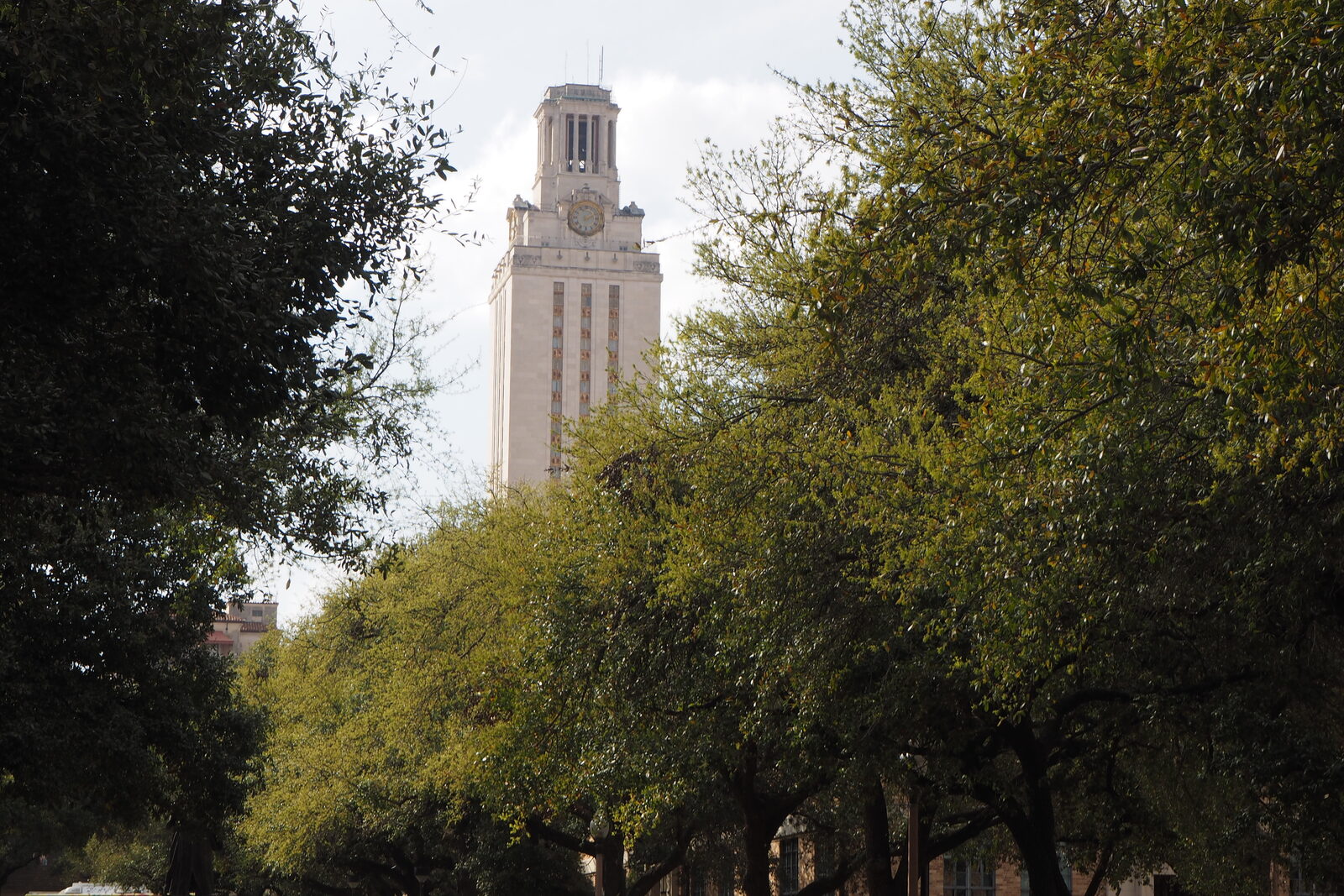 The University of Texas at Austin tower